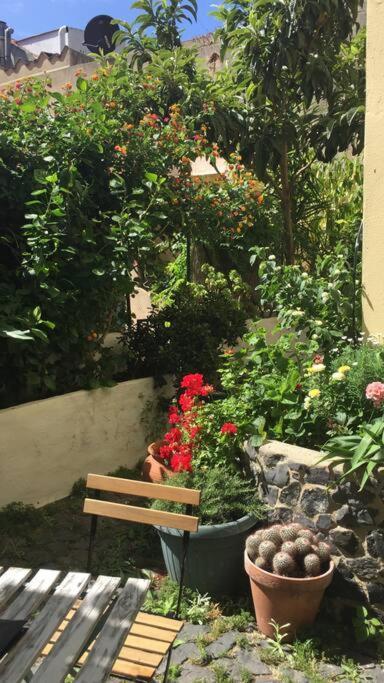 Downtown Garden House Appartement